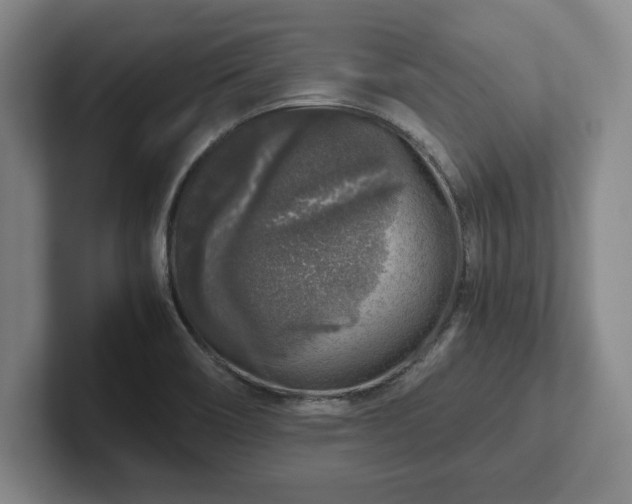 X0000102521466200808151522