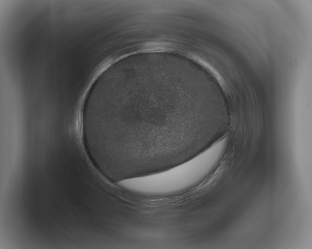 X0000102521467200808151522