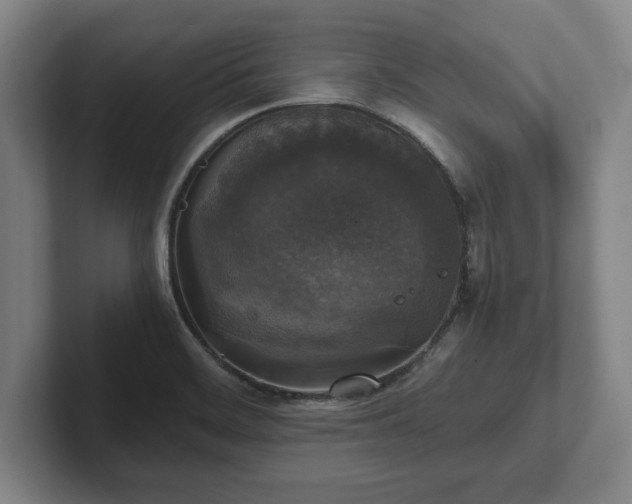 X0000102521468200808151522