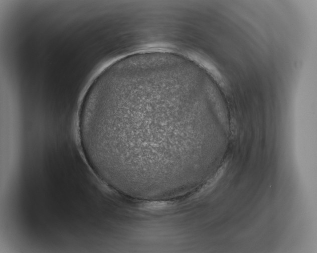 X0000102521470200808151522