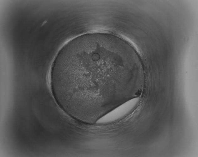 X0000102521471200808151522