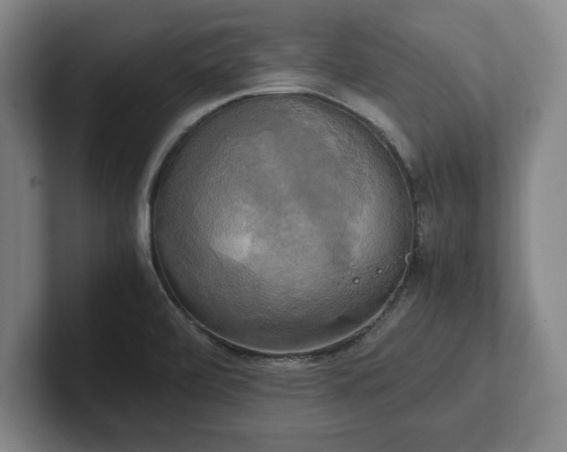 X0000102521472200808151522