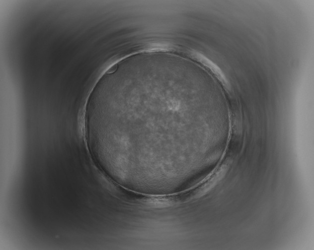 X0000102521473200808151522