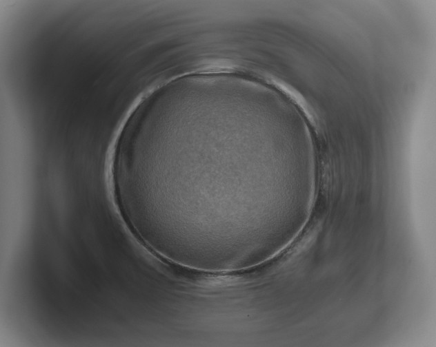 X0000102521475200808151522