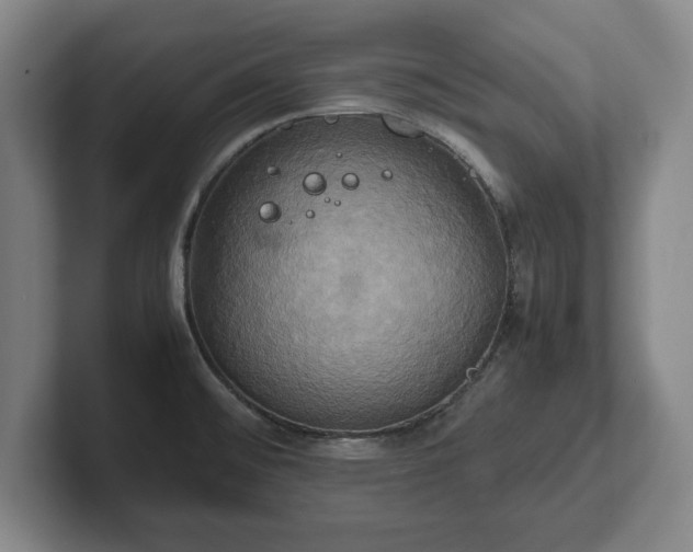 X0000102521476200808151522