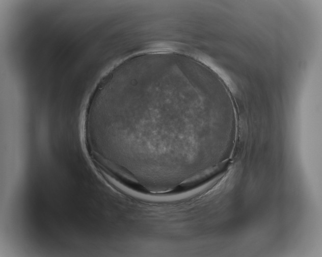 X0000102521477200808151522