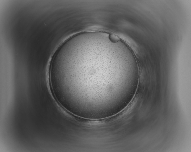 X0000102521478200808151522