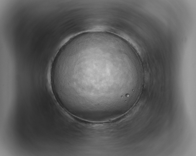 X0000102521480200808151522