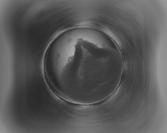 X0000102521482200808151522