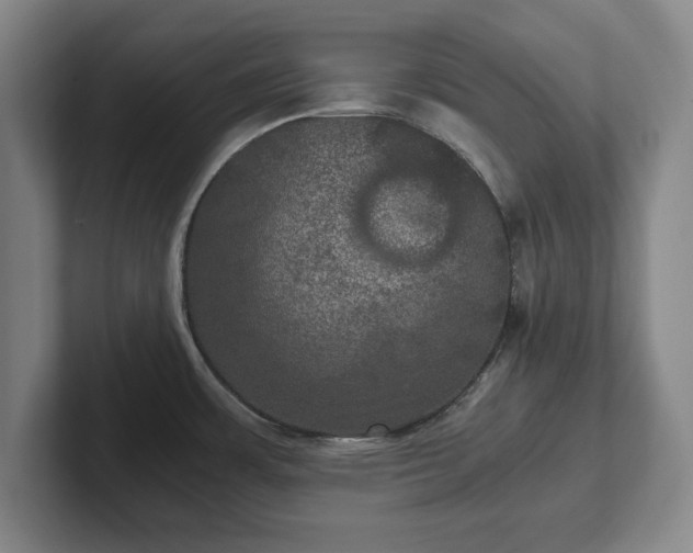 X0000102521483200808151522