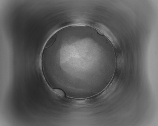 X0000102521484200808151522