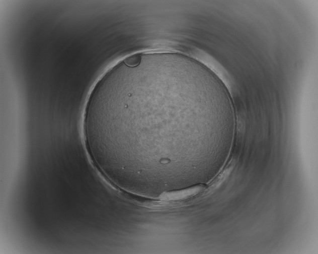 X0000102521485200808151522