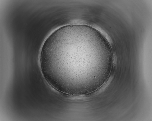 X0000102521486200808151522