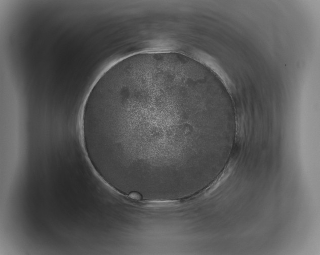 X0000102521487200808151522