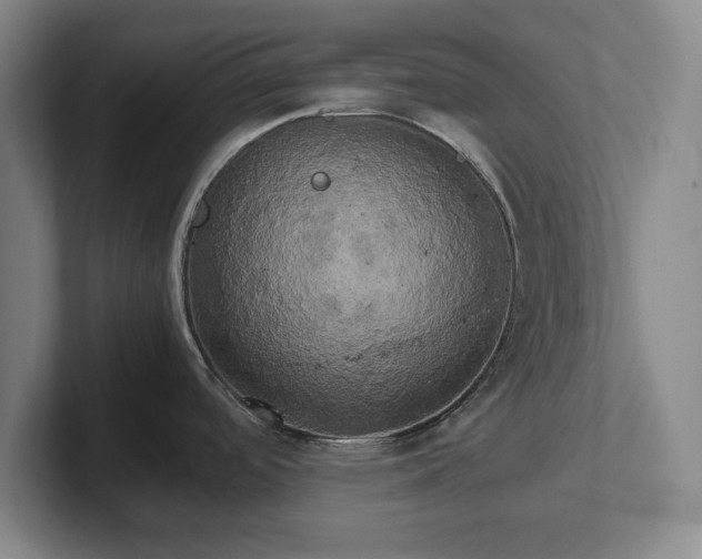 X0000102521488200808151522