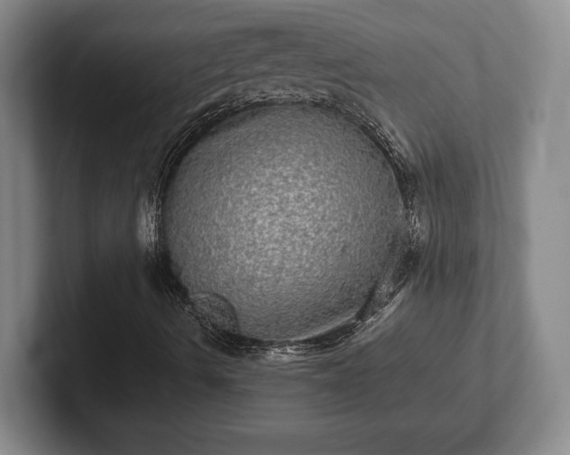 X0000102521490200808151521