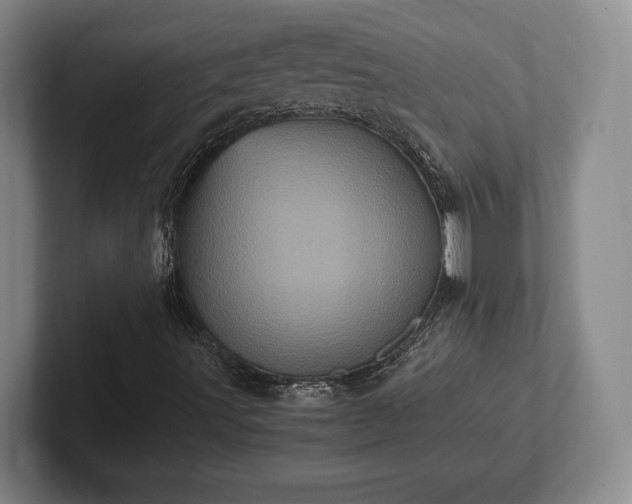 X0000102521491200808151521