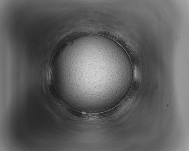 X0000102521492200808151521