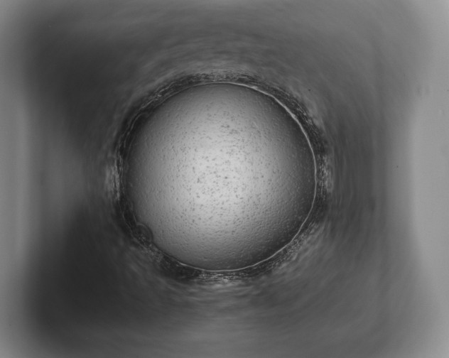 X0000102521493200808151521