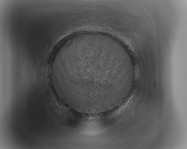 X0000102521494200808151521