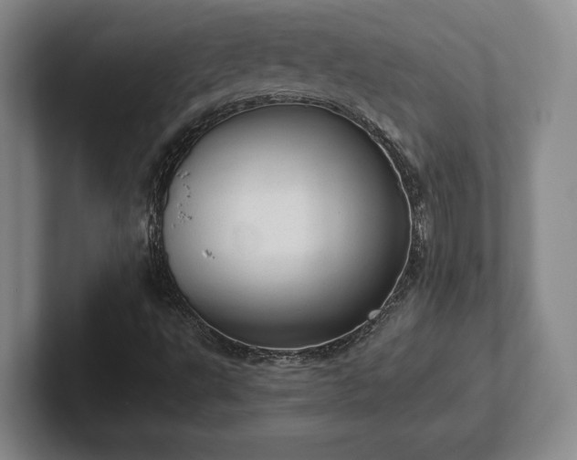 X0000102521495200808151521