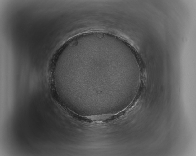 X0000102521496200808151521