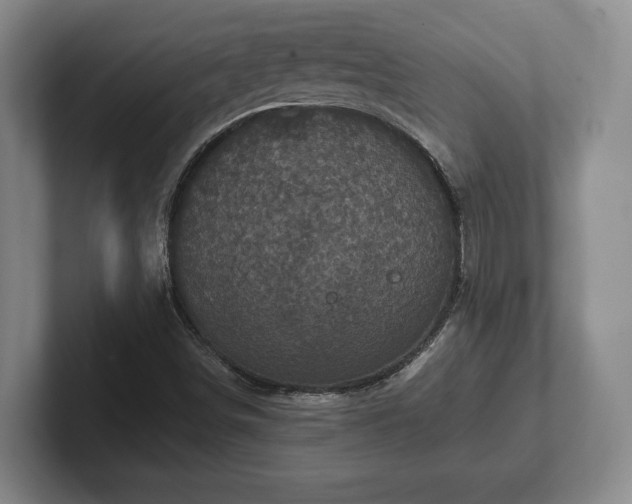 X0000102521498200808151521