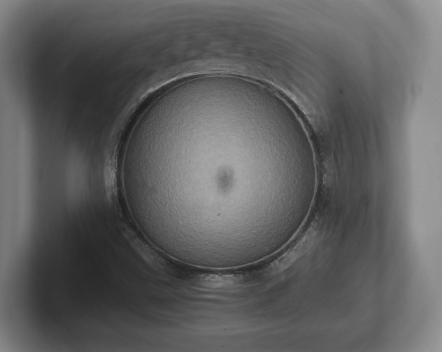 X0000102521499200808151521