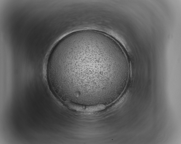 X0000102521500200808151521