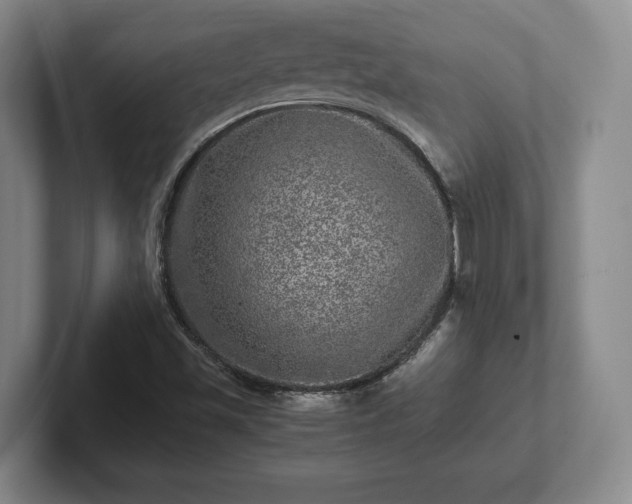 X0000102521501200808151521