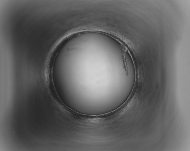 X0000102521502200808151521