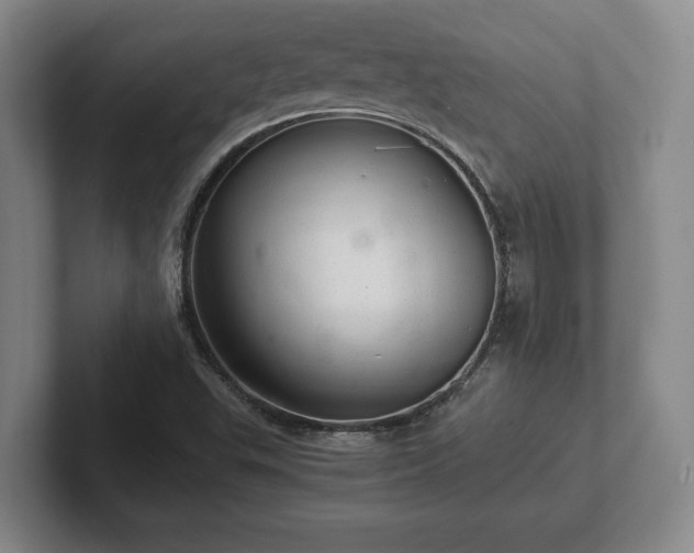 X0000102521503200808151521