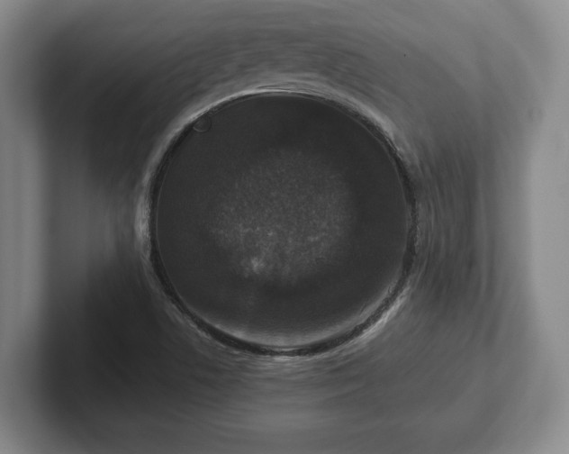 X0000102521506200808151521