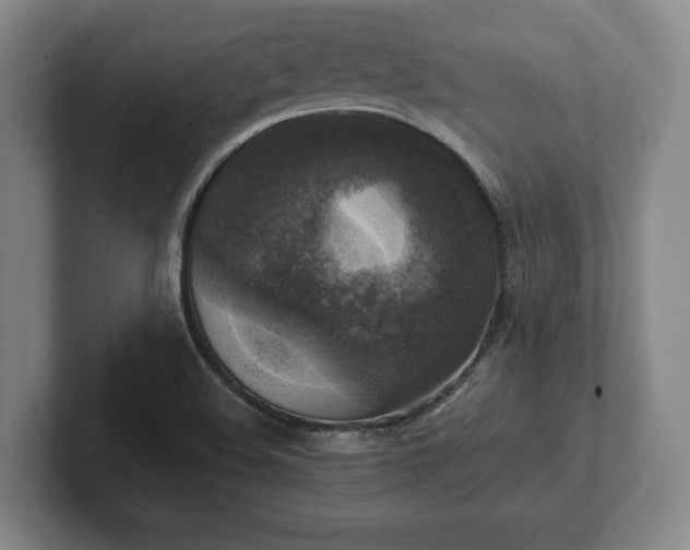 X0000102521508200808151521