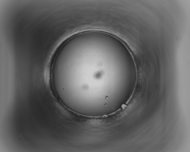 X0000102521511200808151521