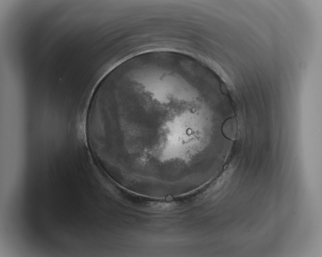 X0000102521513200808151521