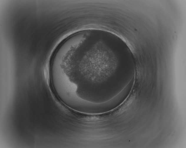 X0000102521515200808151521