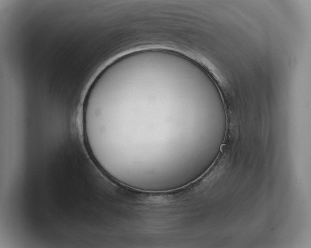 X0000102521516200808151521