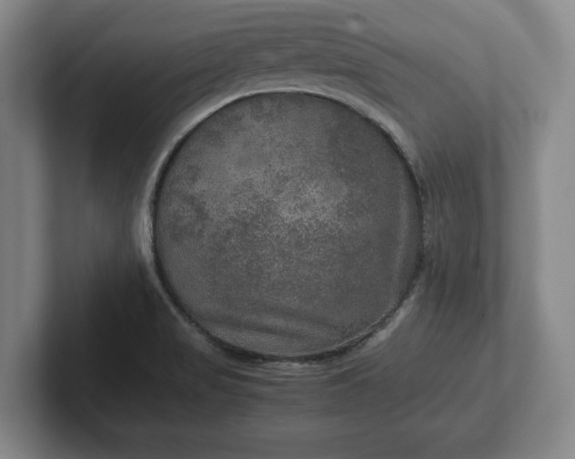 X0000102521517200808151521