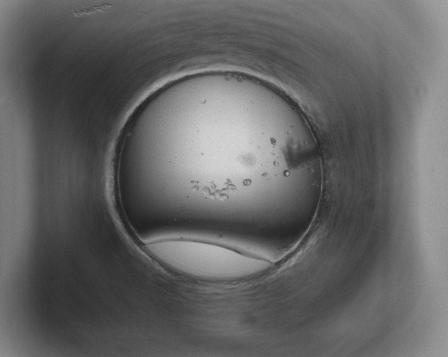 X0000102521518200808151521