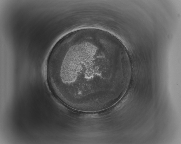 X0000102521519200808151521