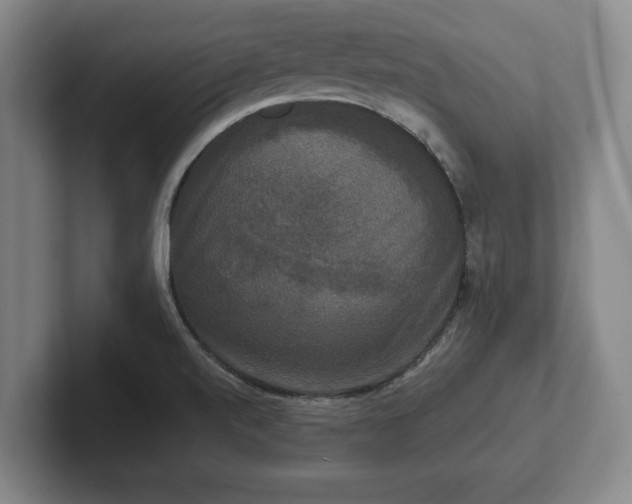 X0000102521520200808151521