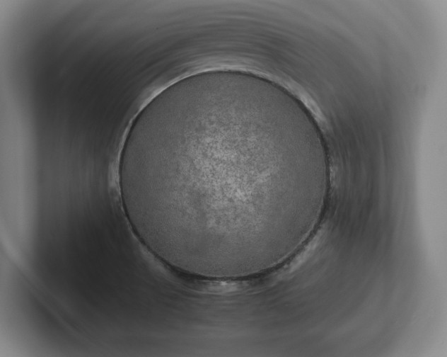 X0000102521521200808151521