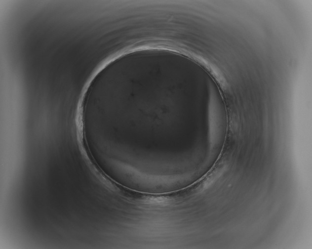 X0000102521522200808151521