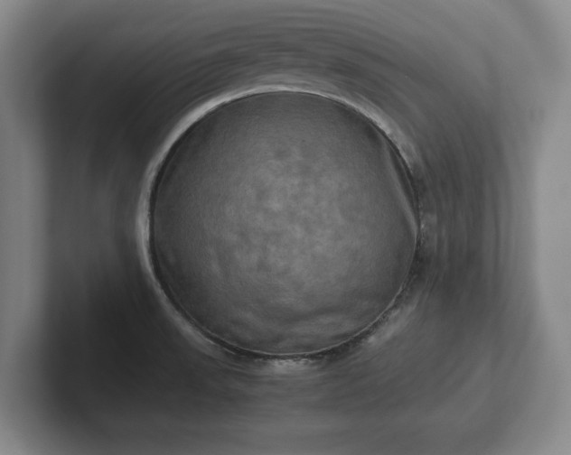 X0000102521523200808151521