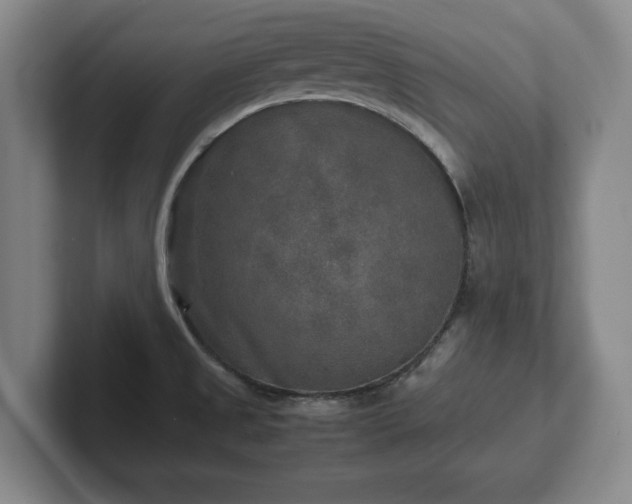 X0000102521525200808151521