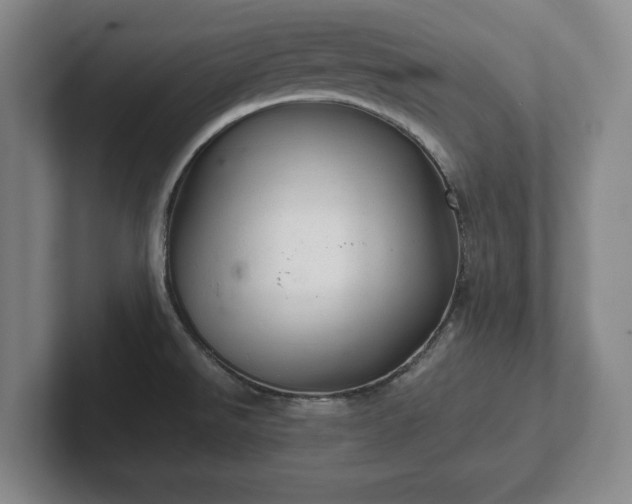 X0000102521526200808151521