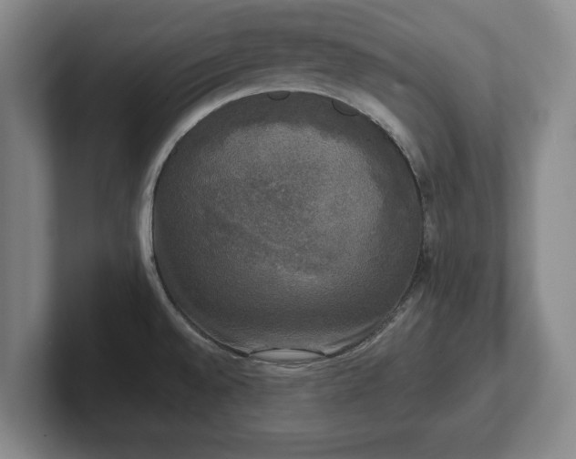 X0000102521528200808151521