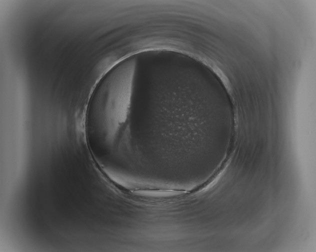 X0000102521529200808151521