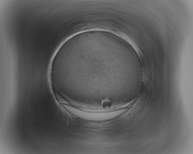 X0000102521532200808151521